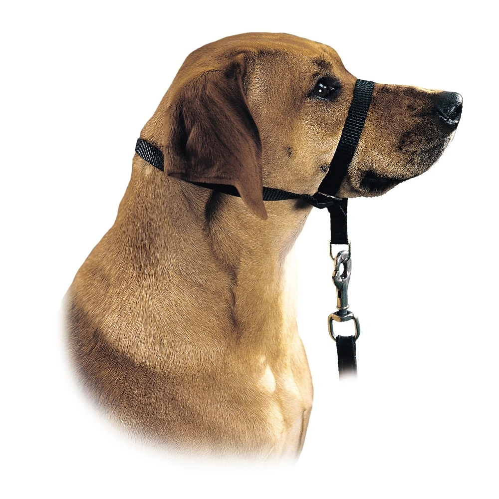 Hunter Follow Me snudesele til hund str L
